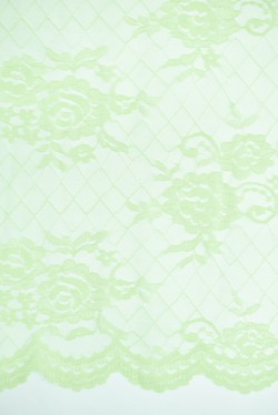 PLAIN JAPANESES LACE